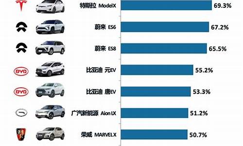 新能源汽车前十名品牌30万_新能源汽车排